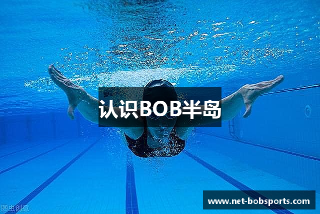 认识BOB半岛